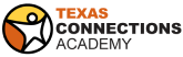 texasconnections school logo